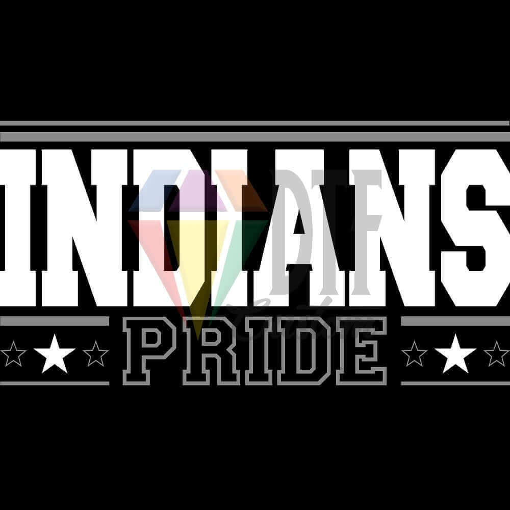 Indians Pride DTF transfer design